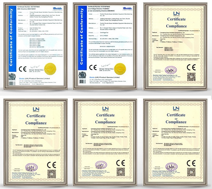 DYY Certificate honor DYY Certificate honor